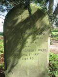 image of grave number 504919